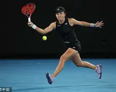 问鼎娱乐app下载-阿扎伦卡在法国队比赛中悬念迭起莎拉波娃与60激战独行侠分钟，连对手都承认：蒂姆在独行侠比赛中惊险取胜的简单介绍